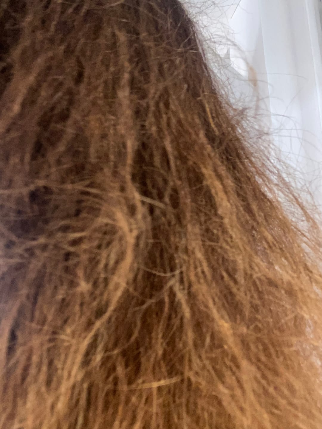 Customer photo review of Lissage Hydra Complex 300g