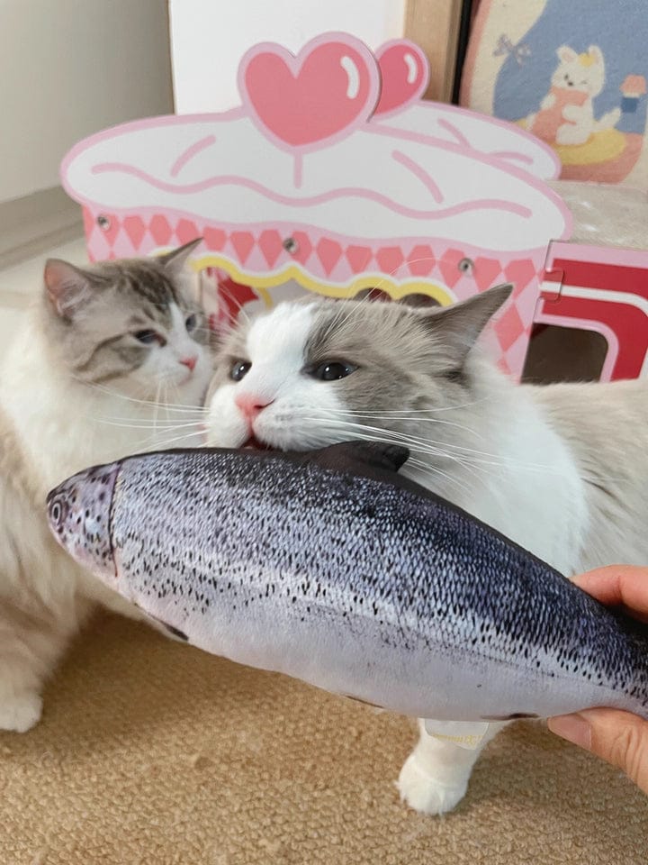 Customer photo review of 100% Natural Catnip Cat Toy