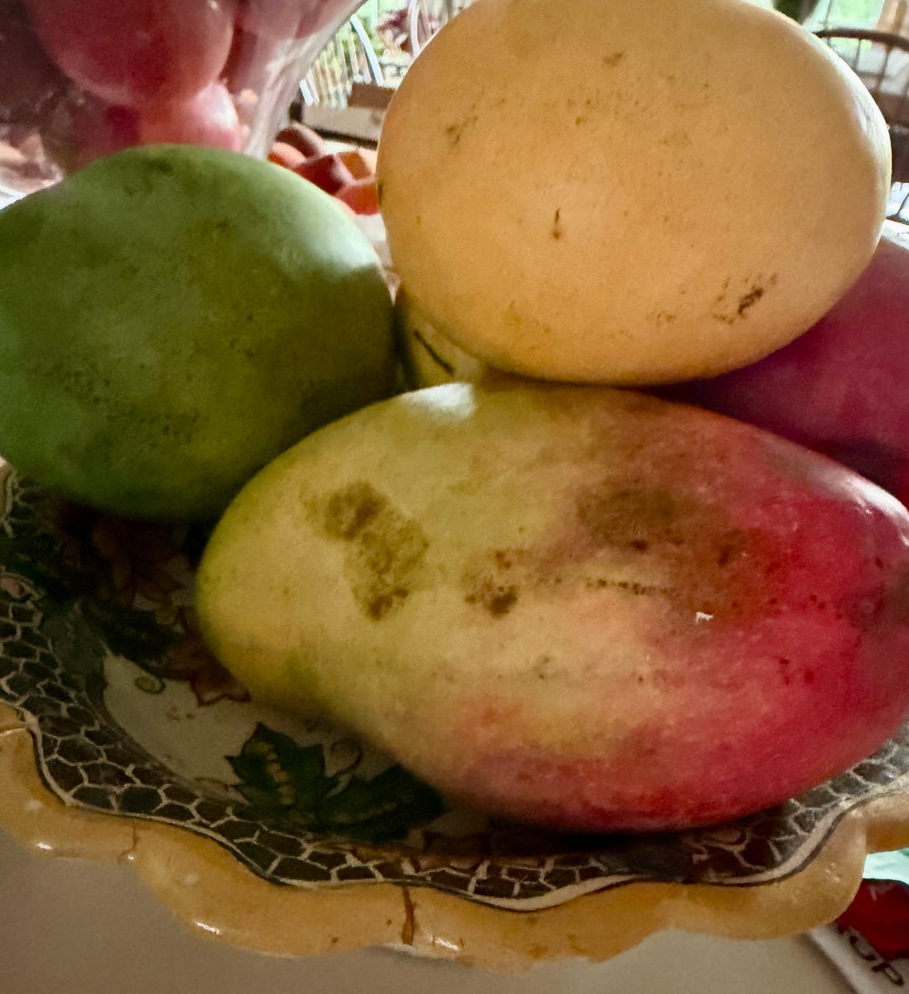 Customer photo review of Mango Mix Box
