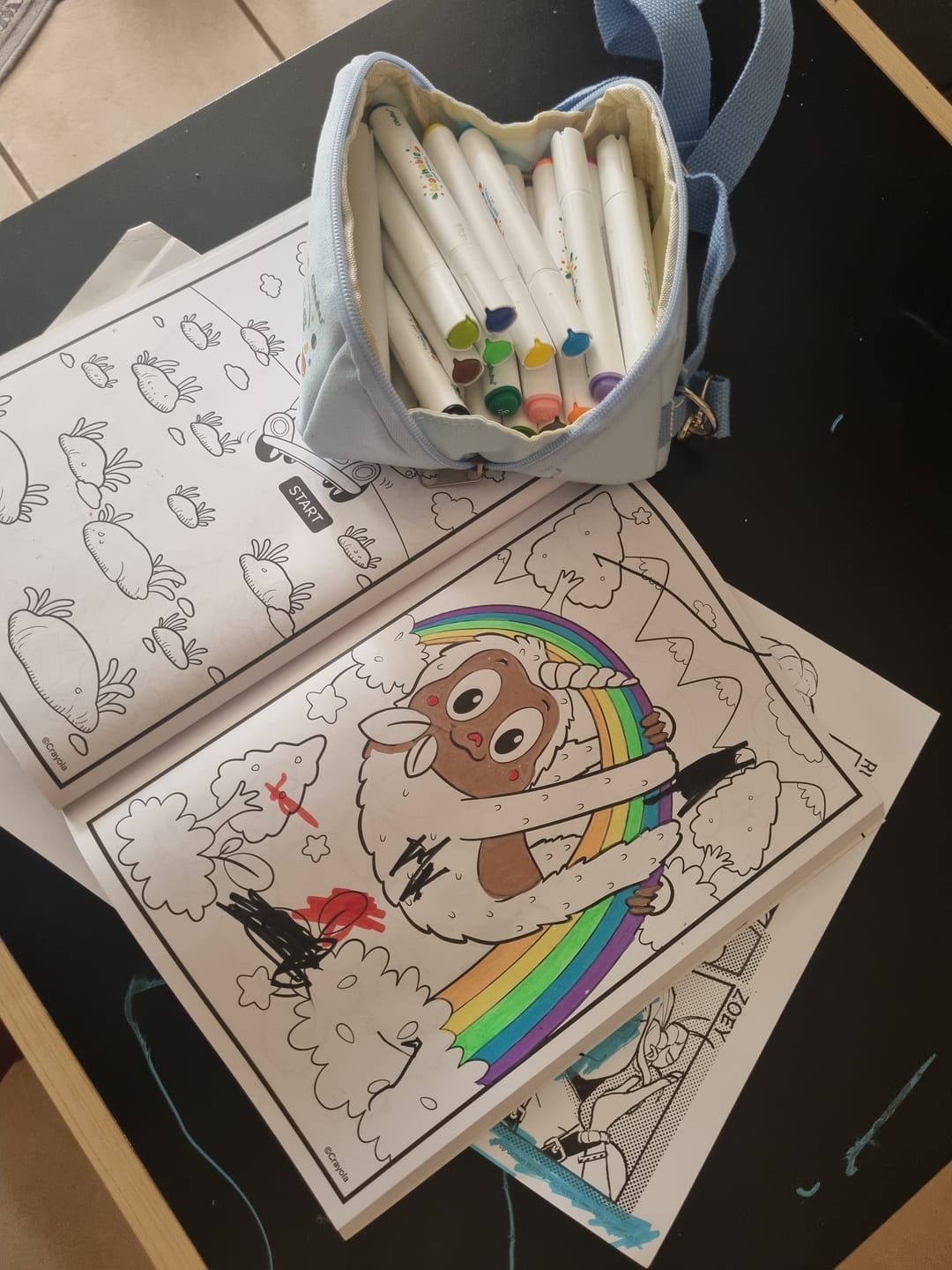 Customer photo review of Ohuhu Washable Acrylic Paint Markers for Kids Bullet Tip