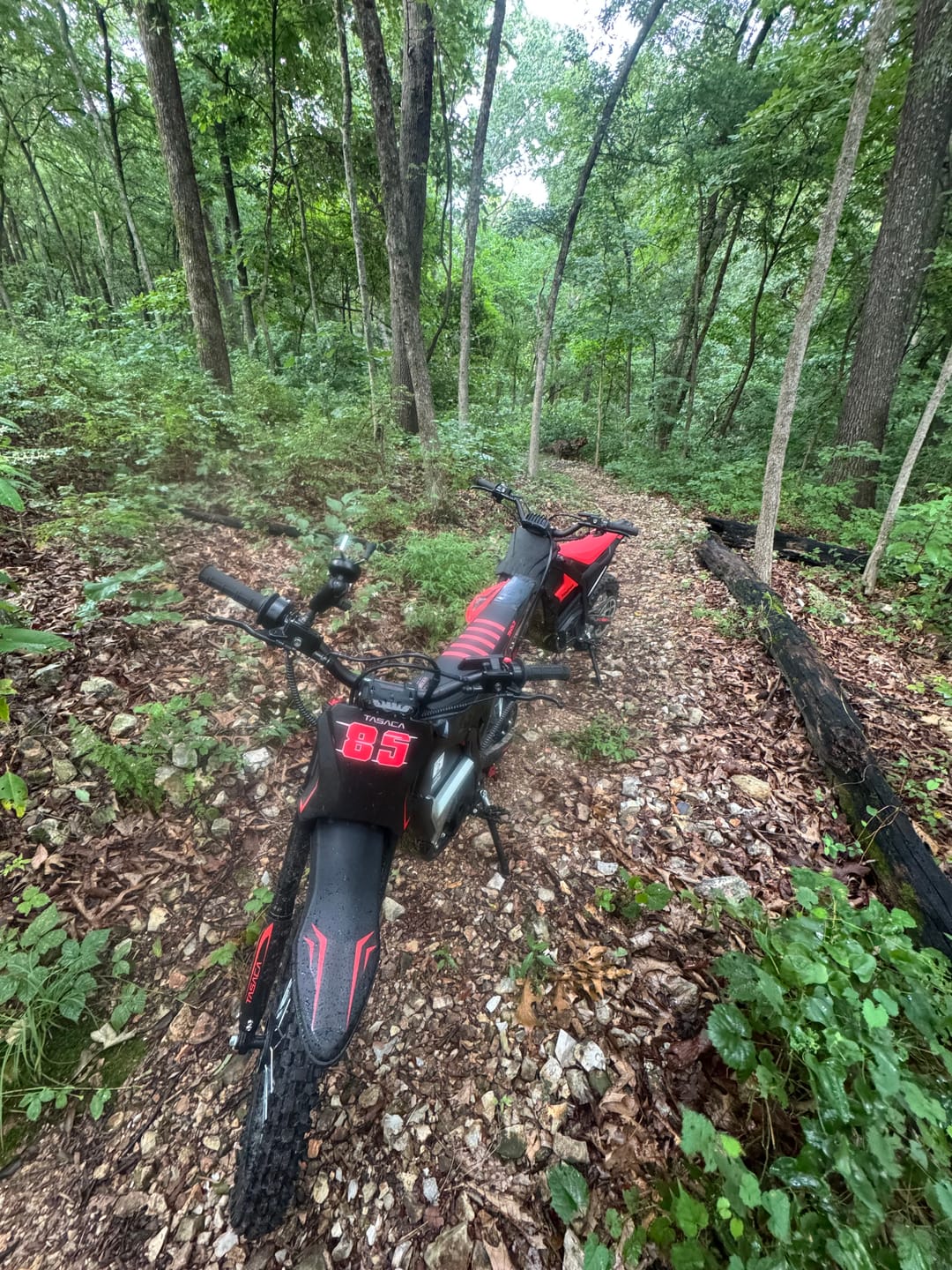 Customer photo review of T500 PRO Electric Dirt Bike