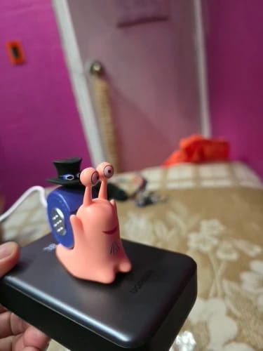 Customer photo review of Mushi Voice Grabadora