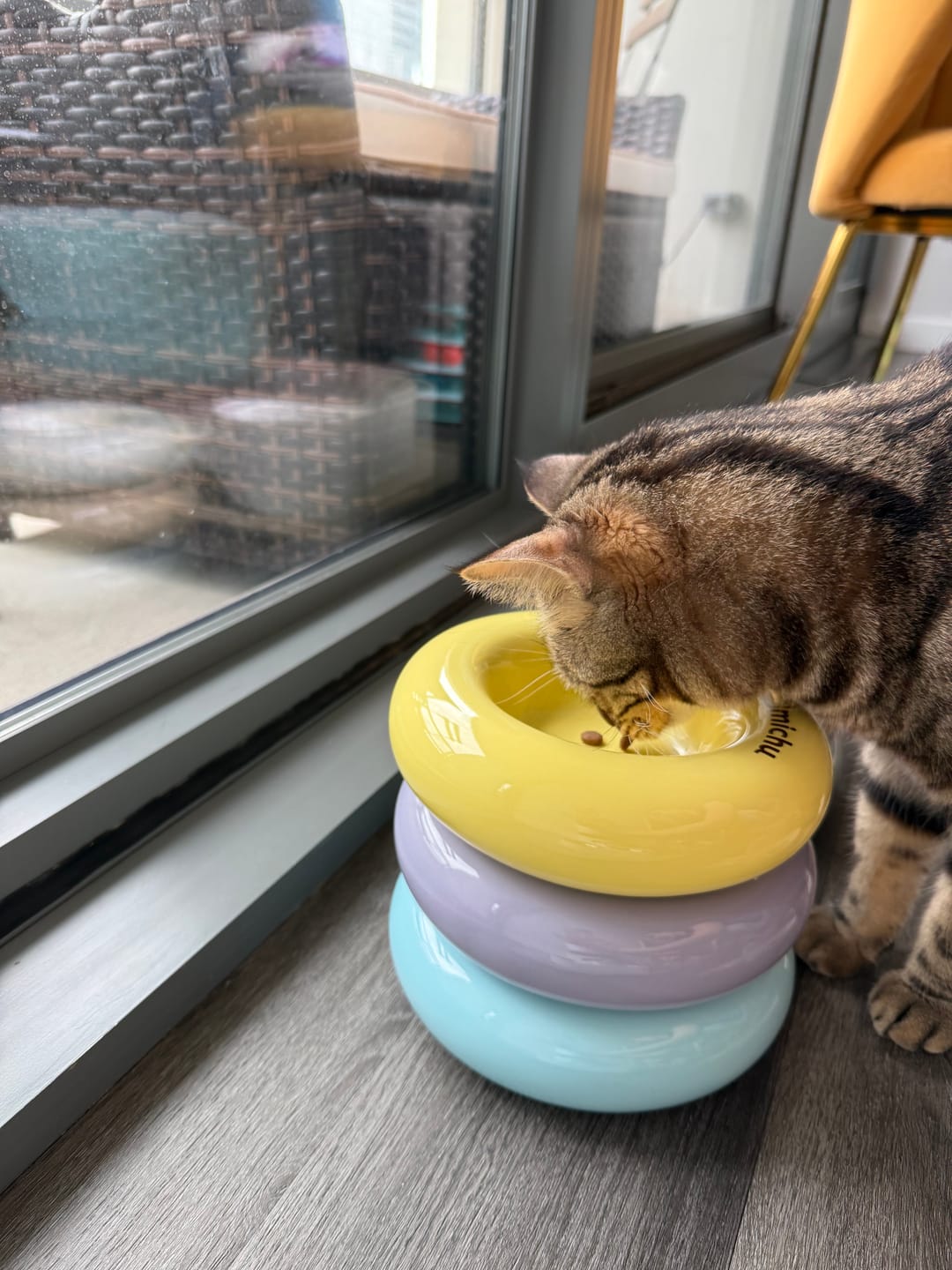 Customer photo review of Michu Bagel Ceramic Cat Bowl – Anti-Whisker Wide Shallow Cat Food Bowl | 6 Colors