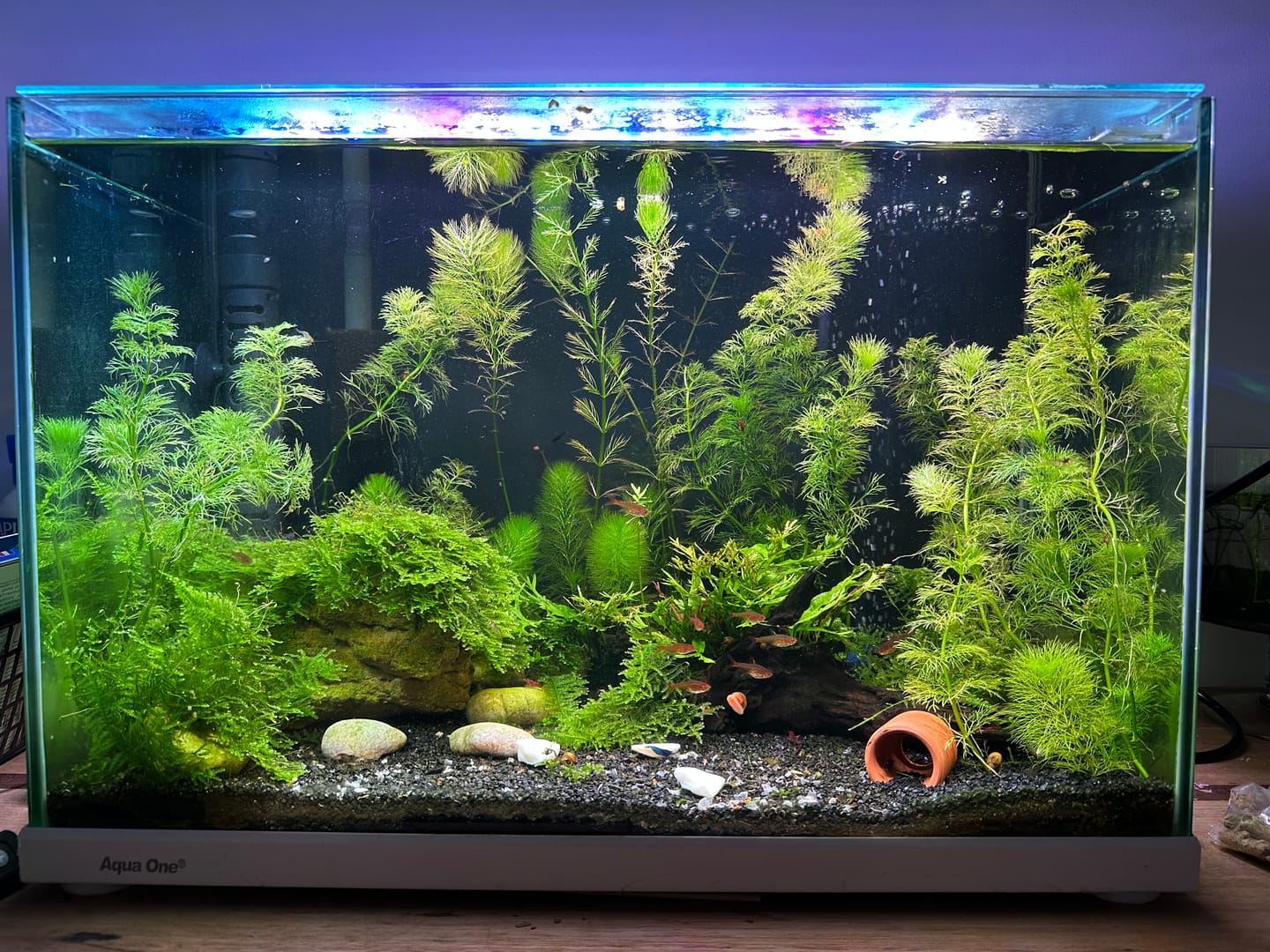 Customer photo review of DALUA WRGB Slim LED
