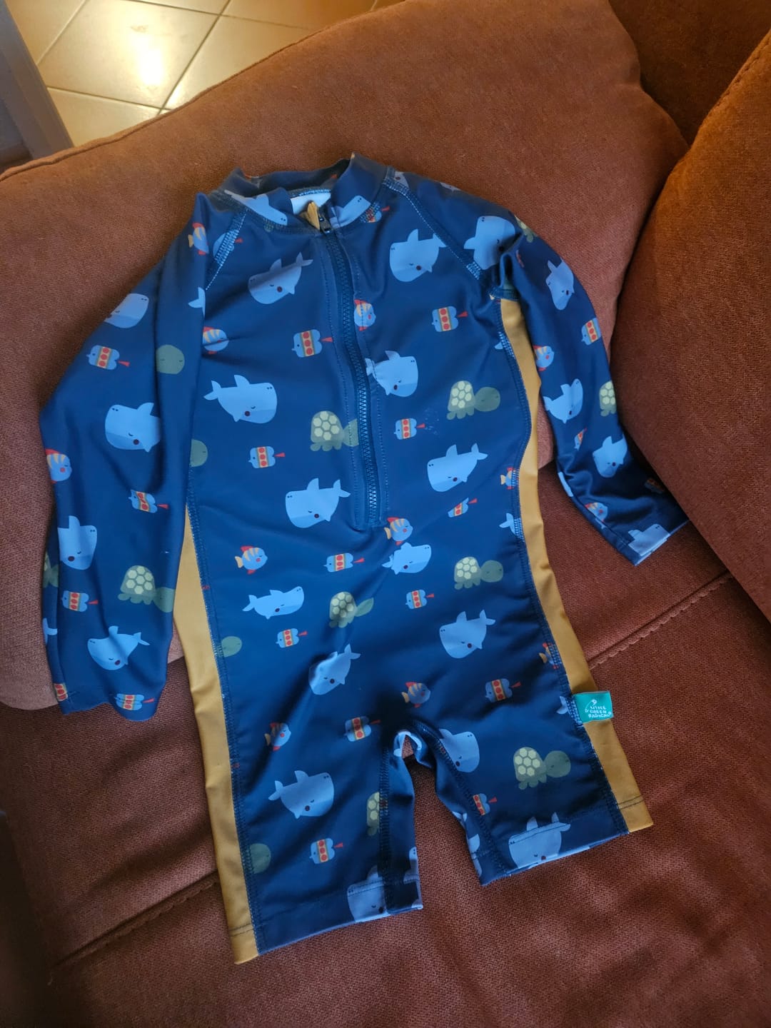 Customer photo review of Sealife UPF 50+ Recycled Sunsafe Sunsuit