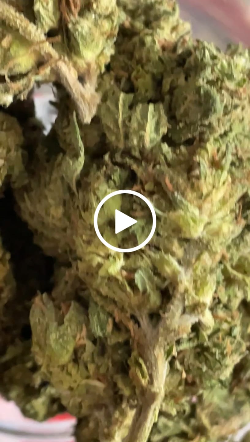 Customer video review of Runtz - Bulk - Hybrid