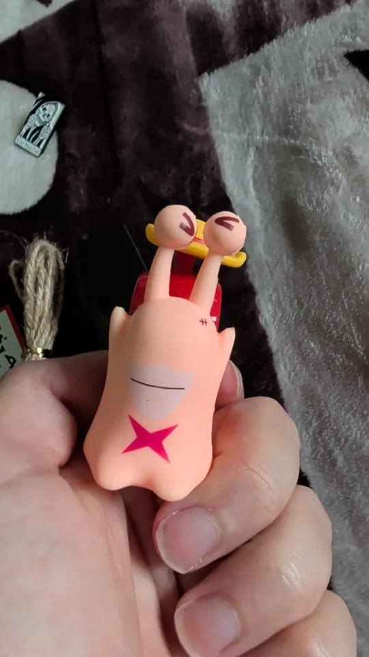 Customer photo review of Mushi Voice Grabadora