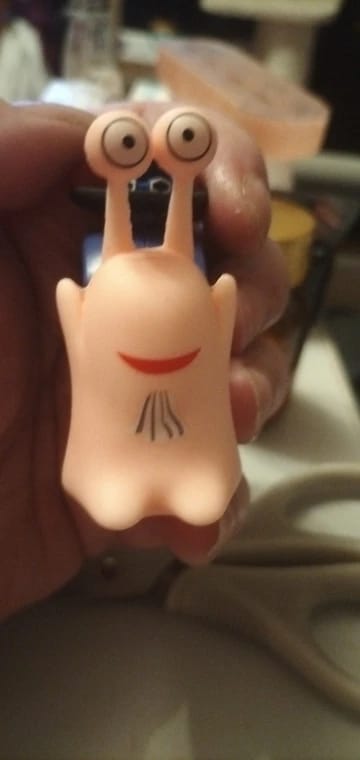 Customer photo review of Mushi Voice Grabadora