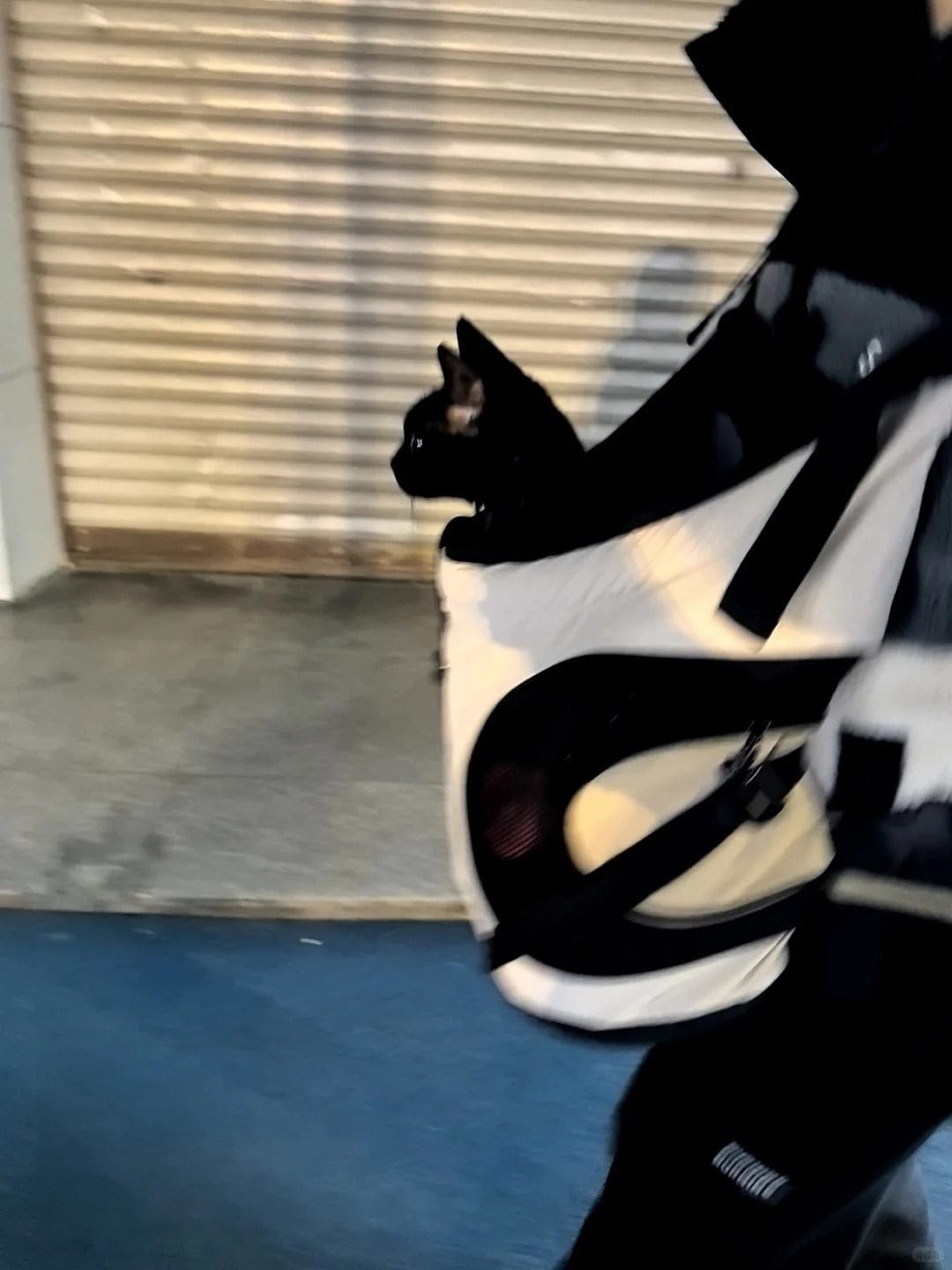 Customer photo review of Comfortable Labor-saving Front Pet Carrier