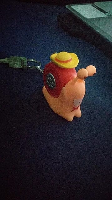 Customer photo review of Mushi Voice Grabadora