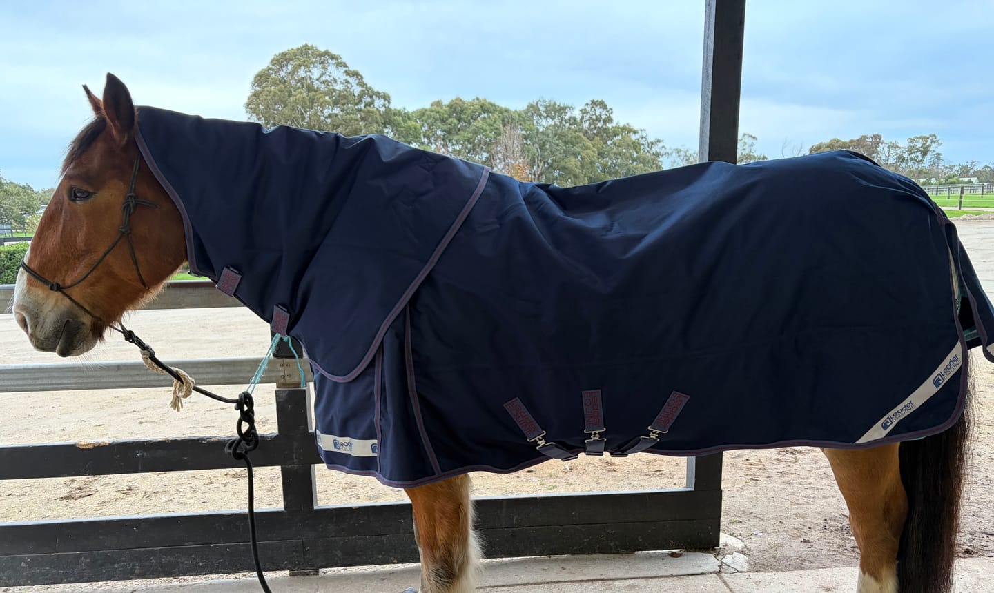 Customer photo review of LE Boxter Turnout Ripstop 200g