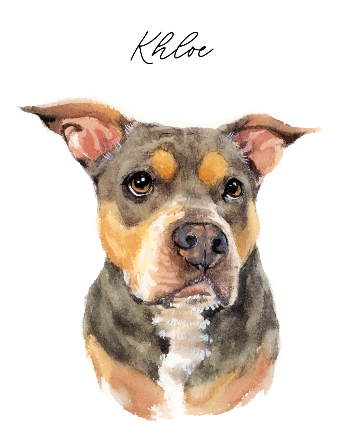Customer photo review of Custom Hand Painted Dog Portrait Canvas