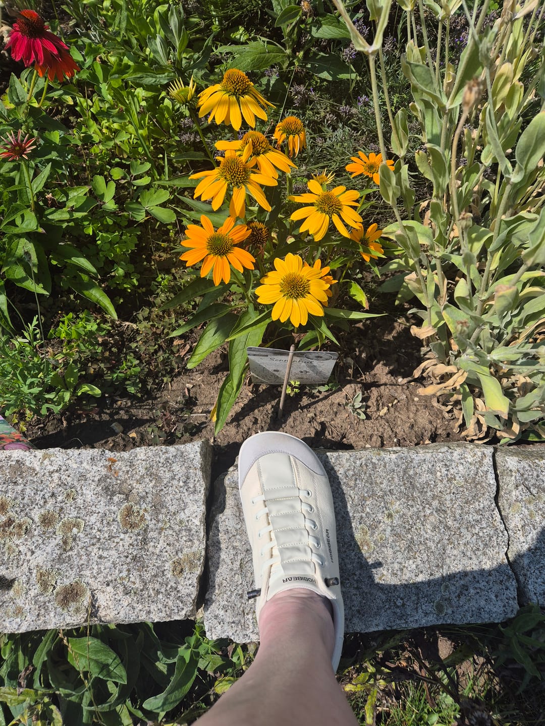 Customer photo review of Sorrel - Barfußschuhe