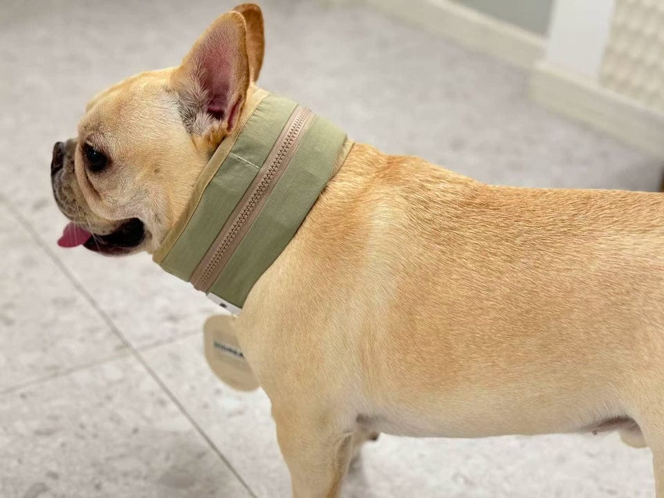 Customer photo review of Dog Cooling Collar with Reusable Ice Packs – Waterproof, Adjustable & Skin-Safe Design (No Direct Ice Contact)