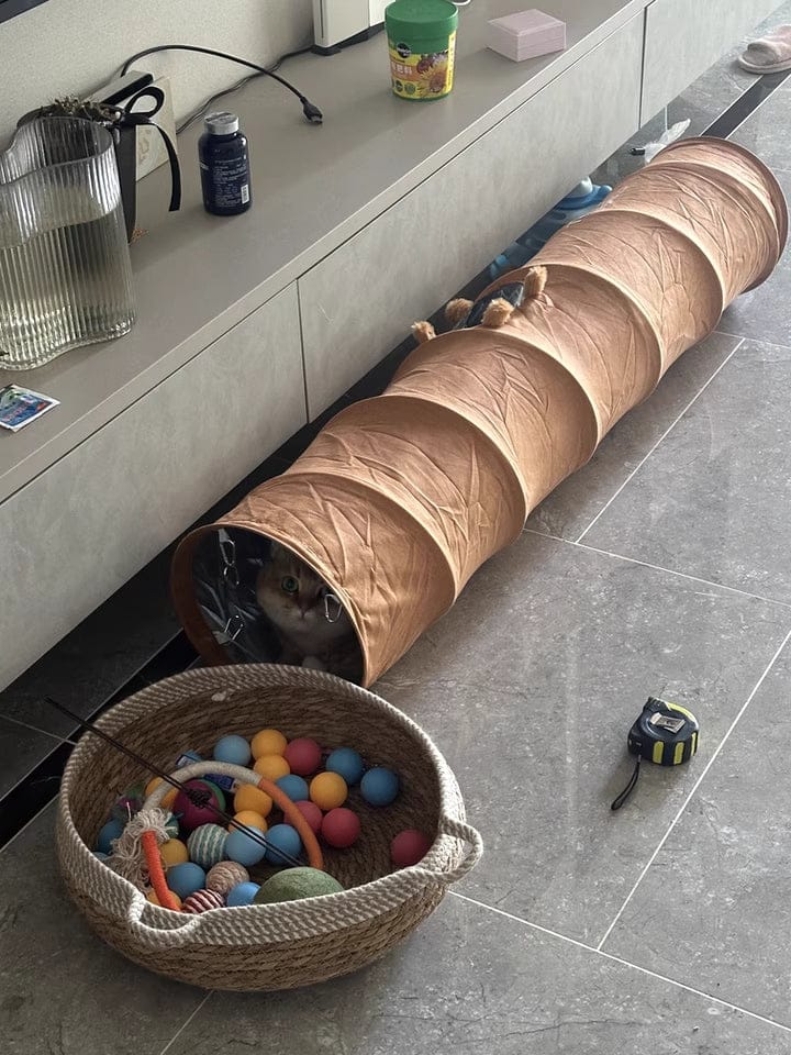 Customer photo review of Foldable Cat Tunnel Toy - With Peephole & Interactive Ball