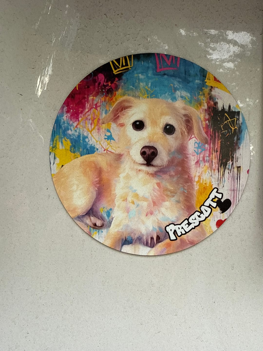 Customer photo review of Graffiti - Personalized Car Magnet