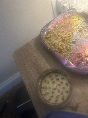 Blackberry™ – Feminized CBD Seeds photo review