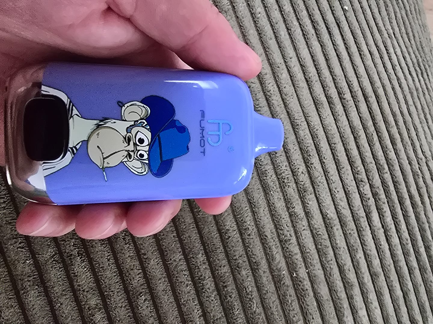 Customer photo review of Blueberry on Ice