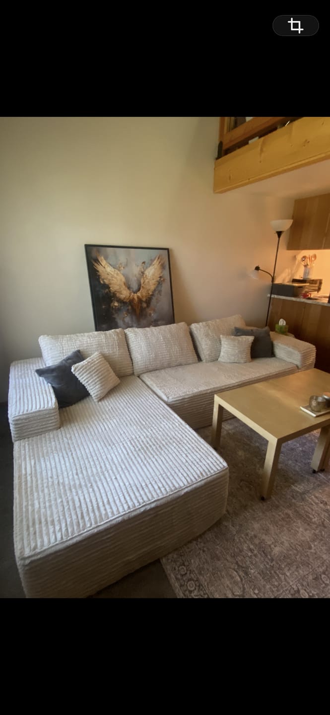Customer photo review of InnovarHome Astra Sleeper Sectional Sofa
