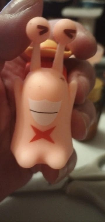 Customer photo review of Mushi Voice Grabadora