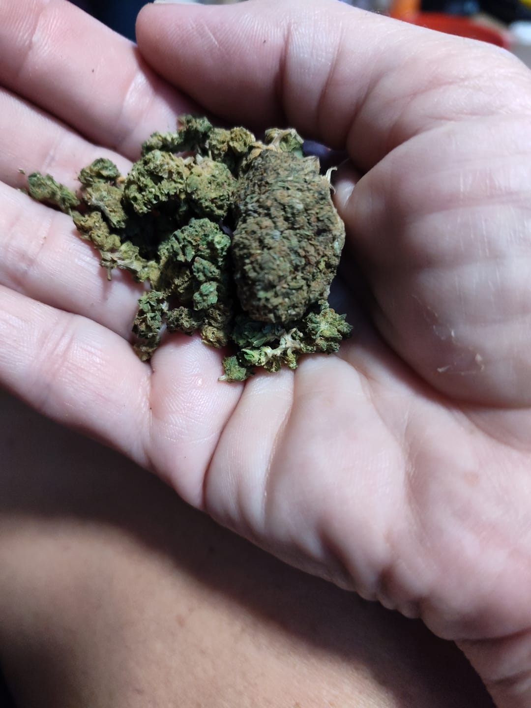 Customer photo review of White Widow MICROS - 28 Grams - Hybrid