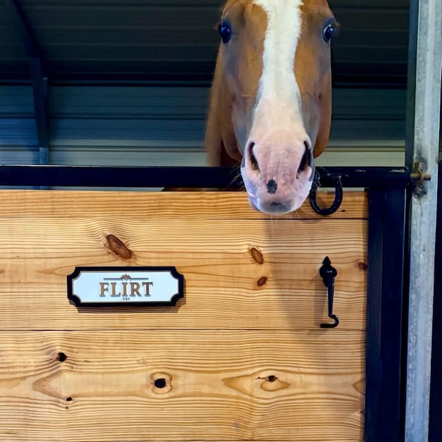 Customer photo review of The Marquee, Gold on White — Personalized Horse Stall Name Plate