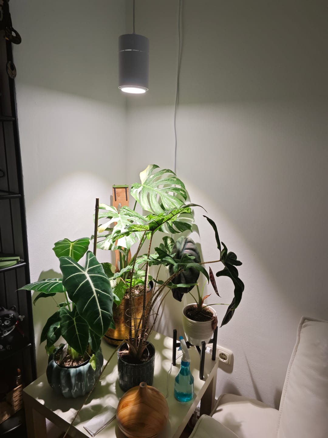 Customer photo review of Claria LED-Pendel­lampe für Pflanzen