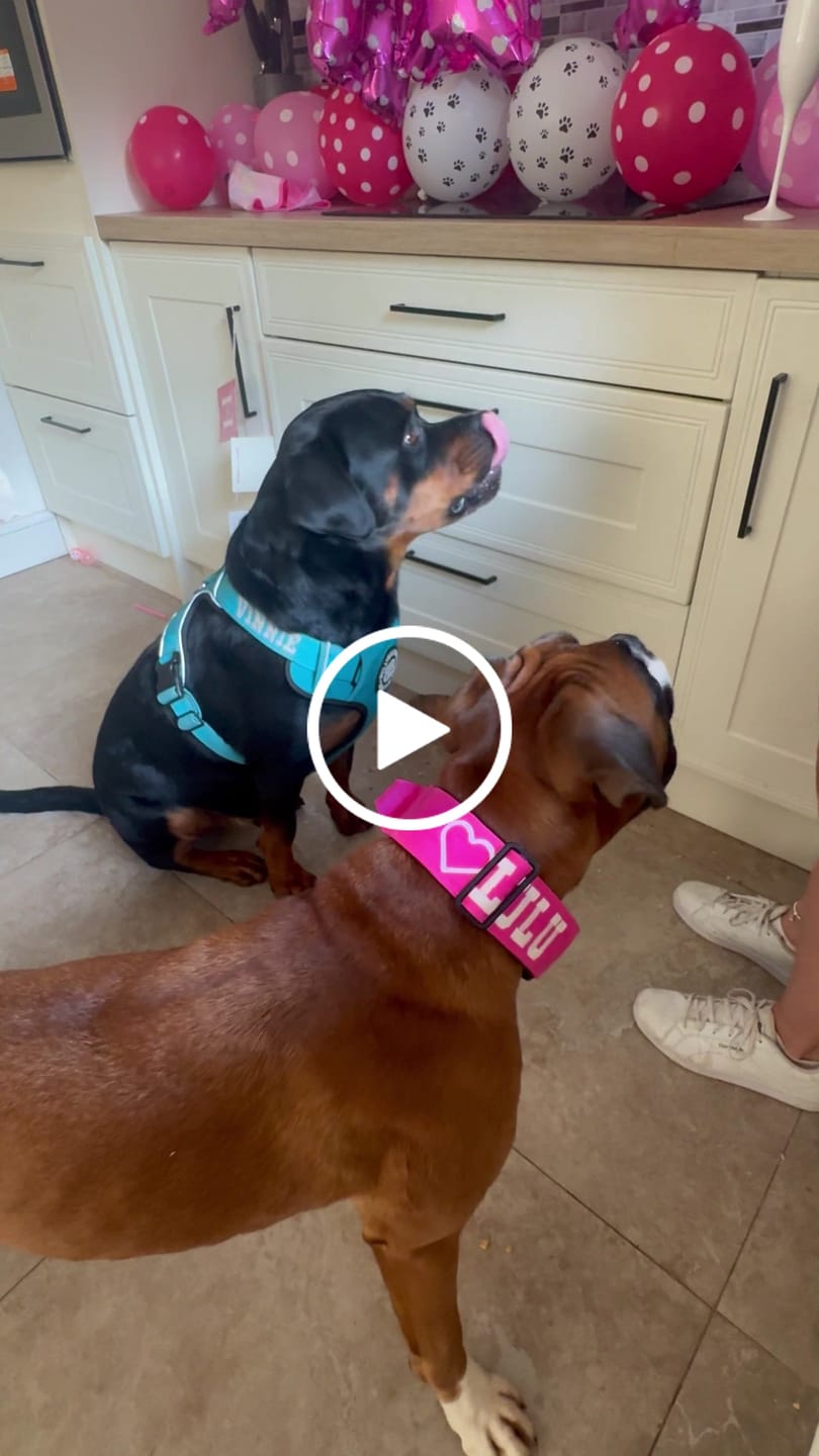 Customer video review of Personalisation Fee €9.99