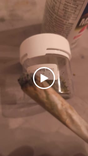 Customer video review of THC-A 36% Flower Planet Bang Bang