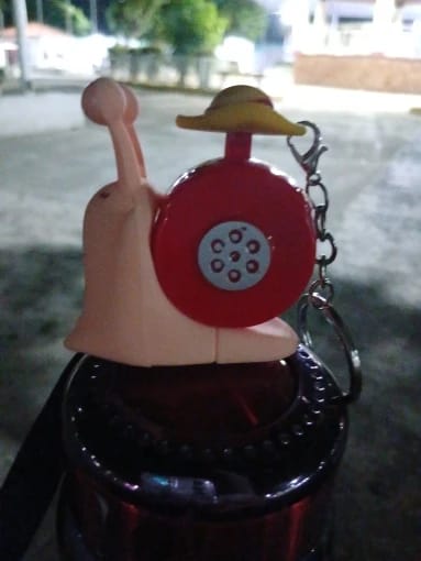 Customer photo review of Mushi Voice Grabadora