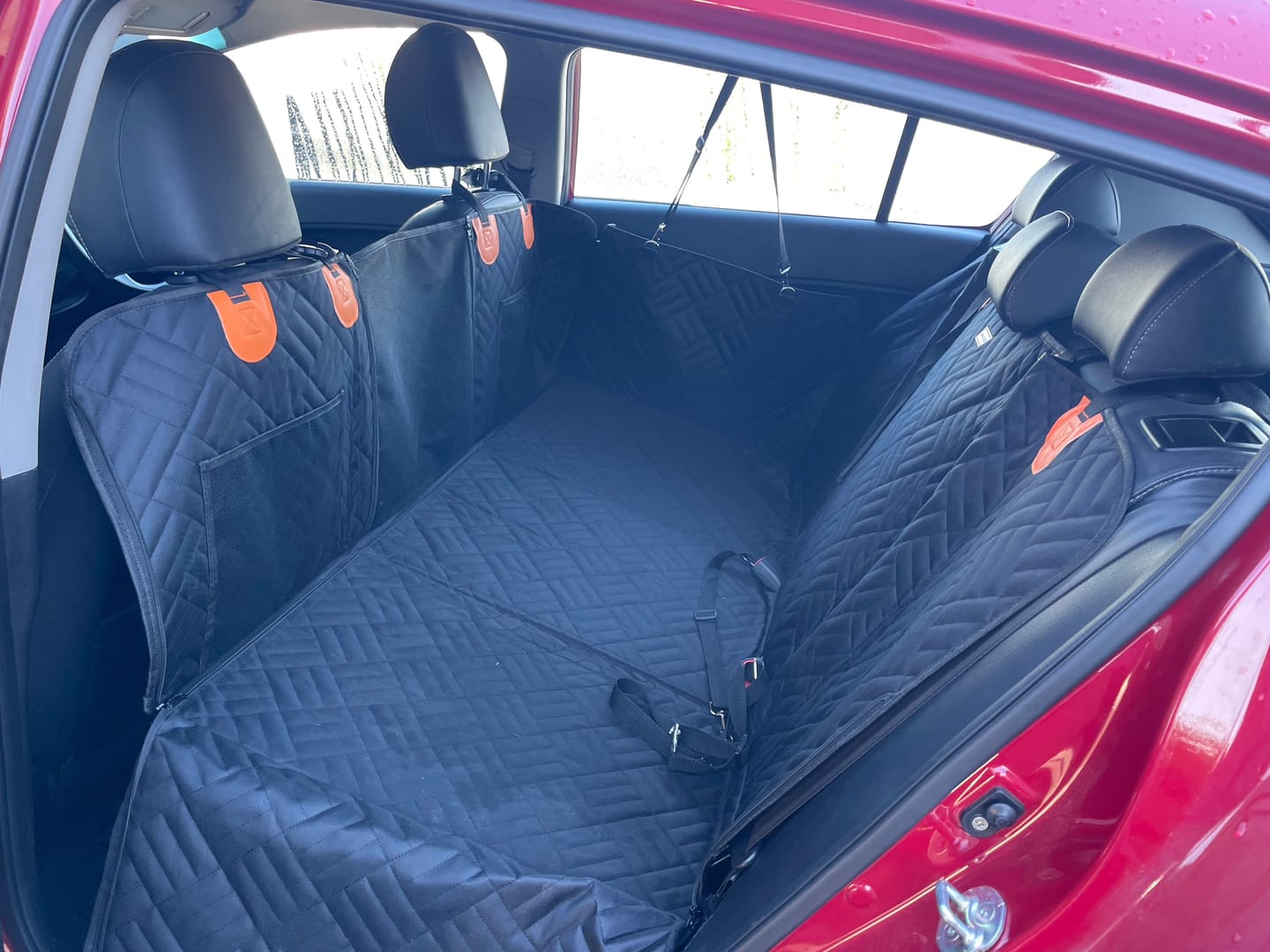 Customer photo review of Companion&Co™ Hard Bottom Car Seat Cover