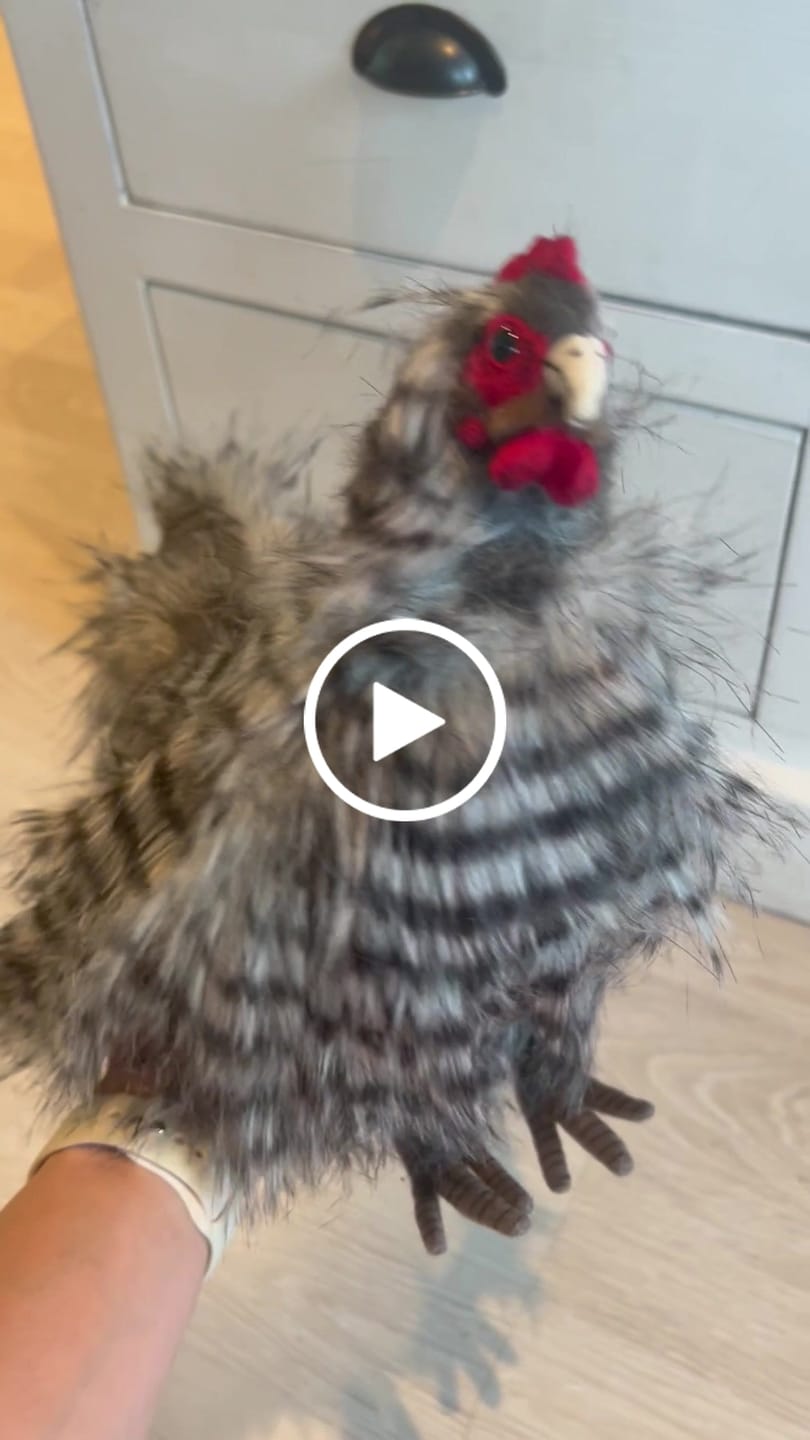 Customer video review of Hansa Creation | Japanese Chicken | Brun/Rød | ca. 30 cm