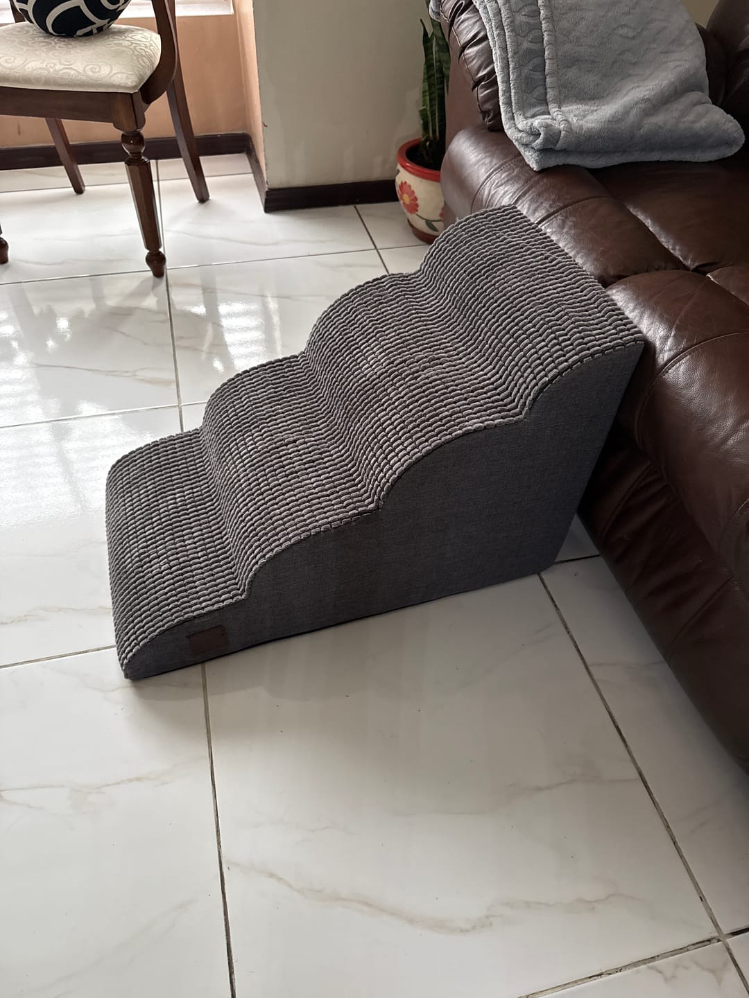 Customer photo review of Rampa Pendiente Suave THE DOGS