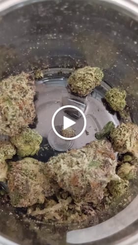 Customer video review of Gary Payton 31% THCA