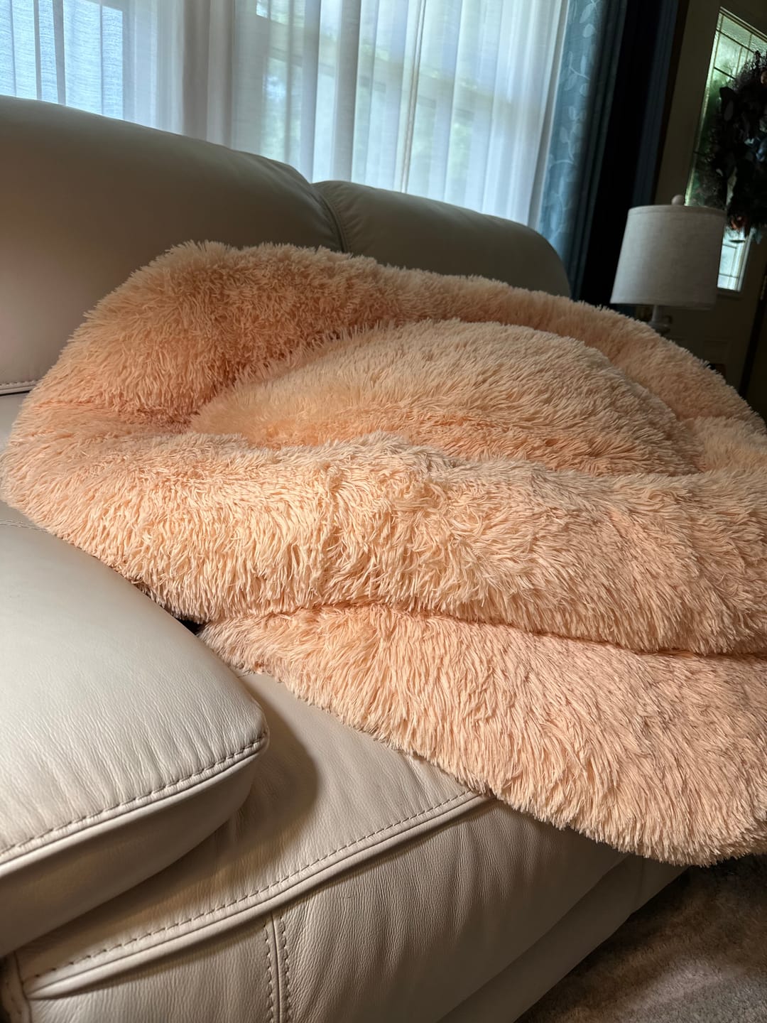 Customer photo review of The Original Fluffy Bean® Pet Bed