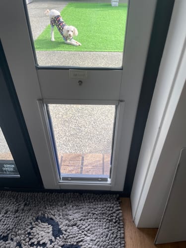 Customer photo review of Replacement Pet flap V3.0