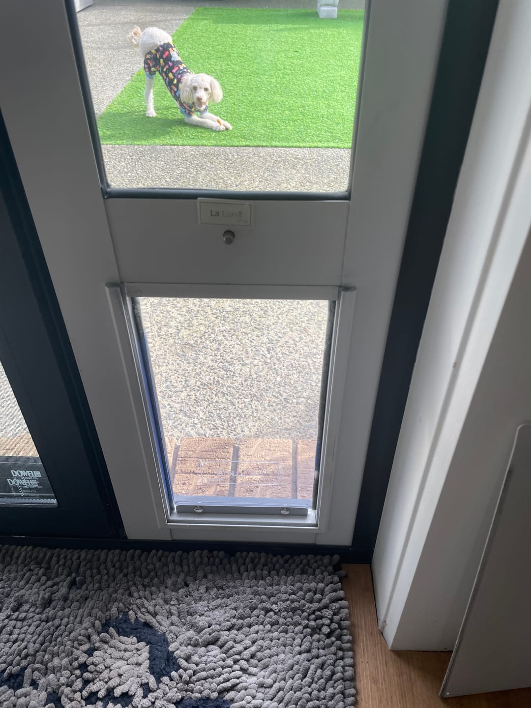 Customer photo review of Replacement Pet flap V3.0