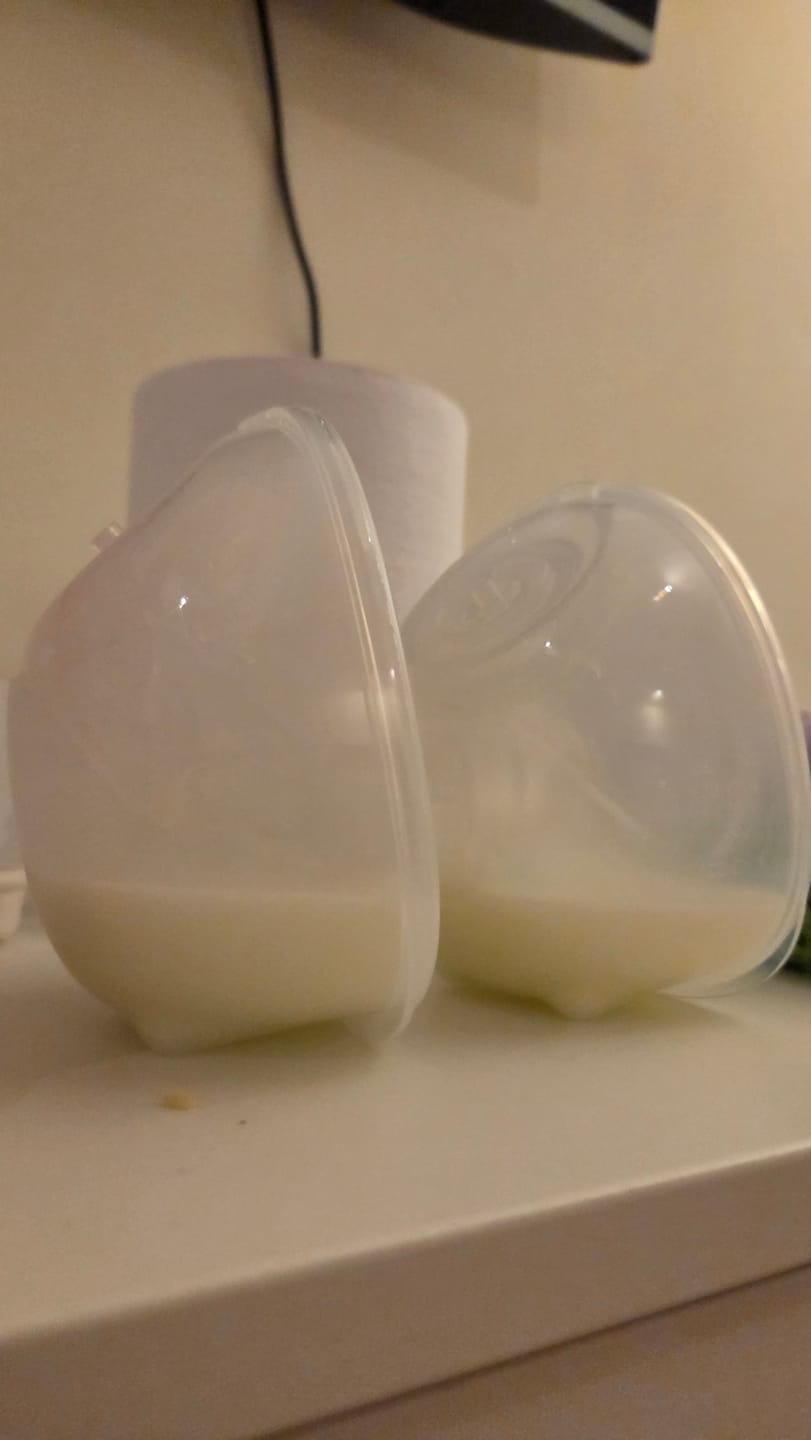 Customer photo review of Extractor de leche doble manos libres