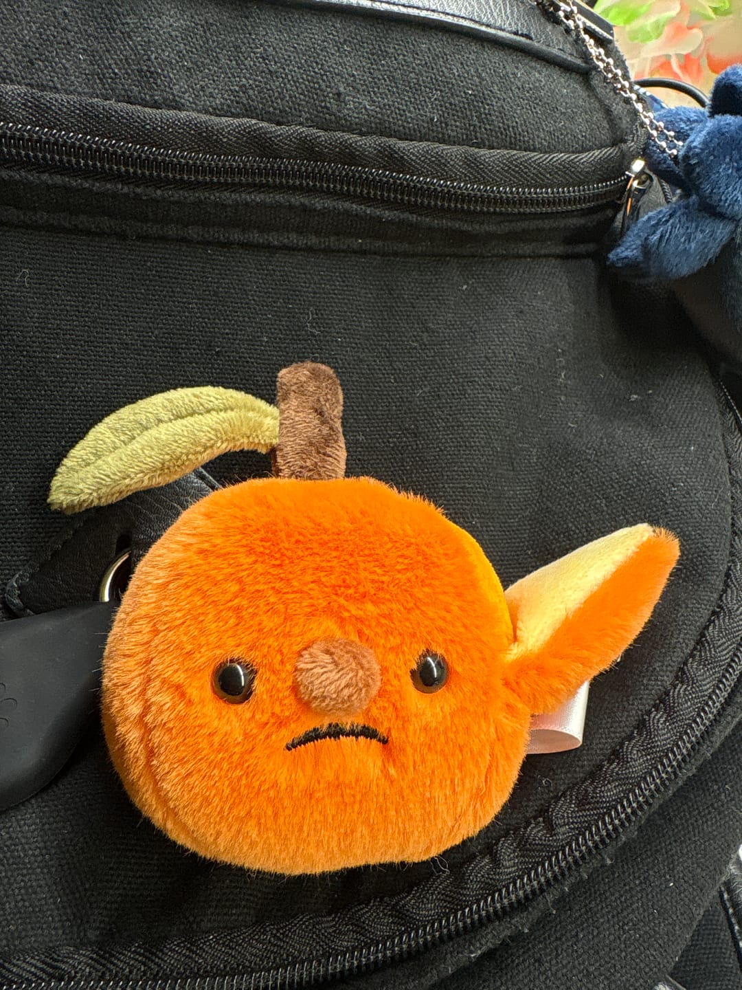 Customer photo review of Forgotten Half-Peeled Orange