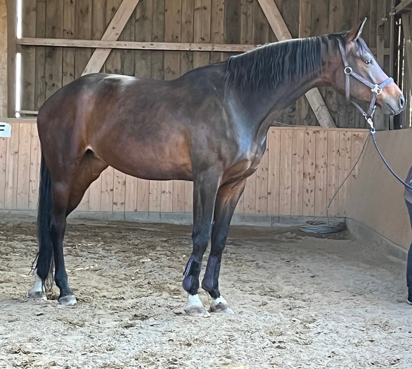 Customer photo review of Kristallkraft Mental Balance