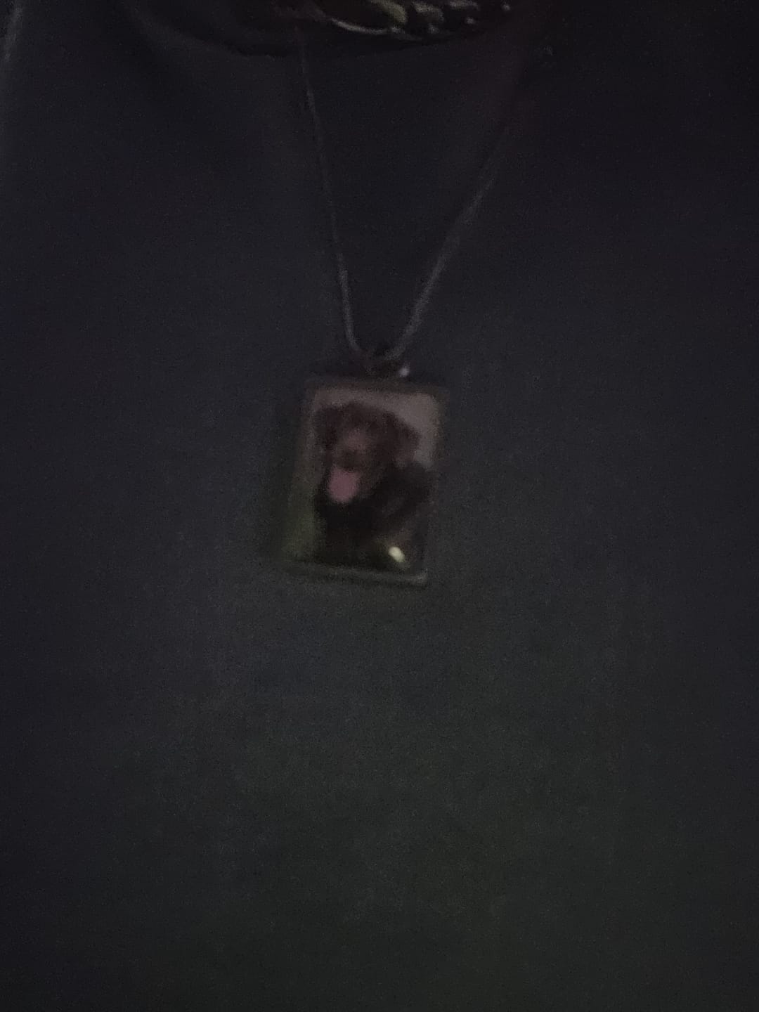 Customer photo review of Rectangular Necklace Urns for Pet Ashes