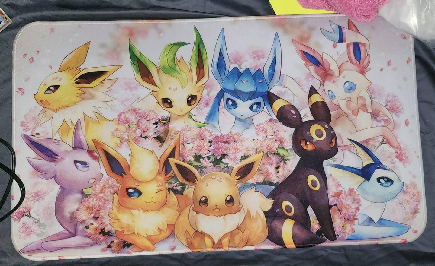 Customer photo review of Eevee Blossom Mouse Pad, Pokémon Cherry Desk Mat