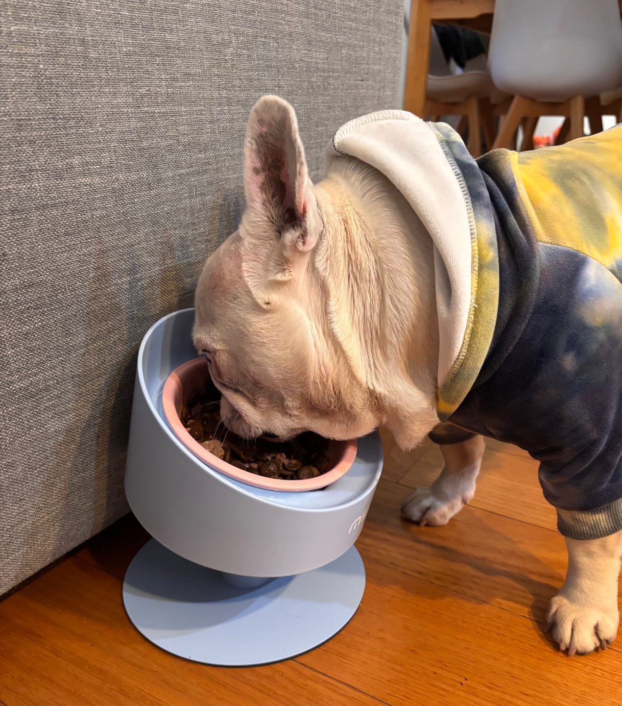 Customer photo review of Makesure Sunflower Adjustable Pet Food Bowl