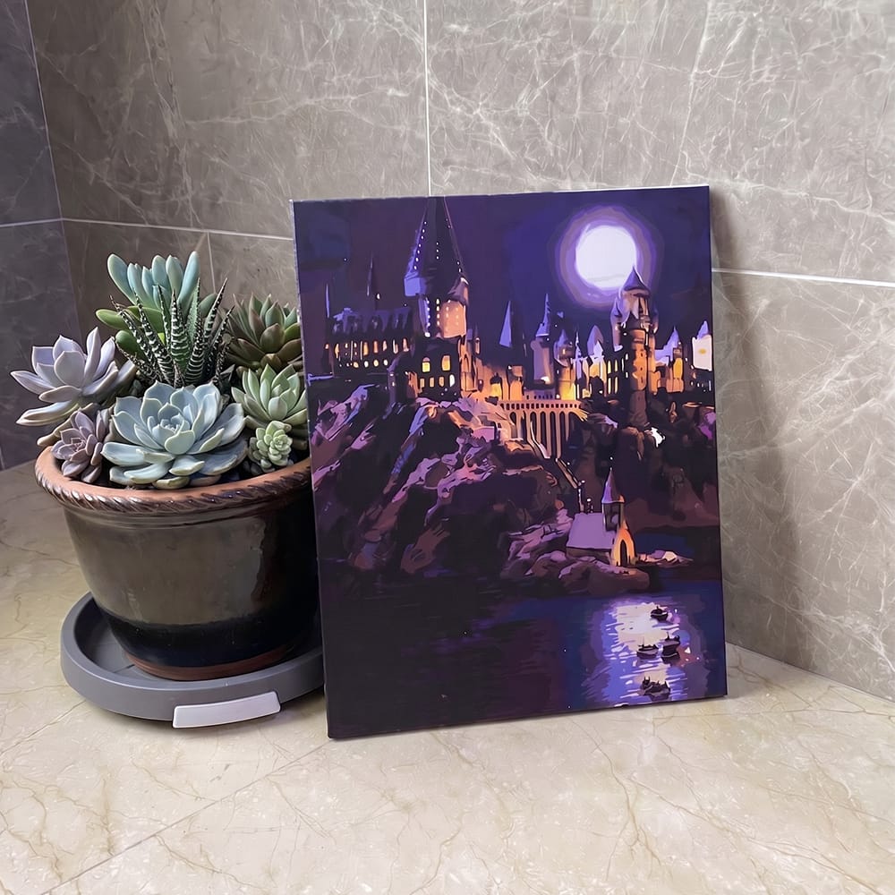 Customer photo review of Harry Potter - Château de Poudlard la Nuit
