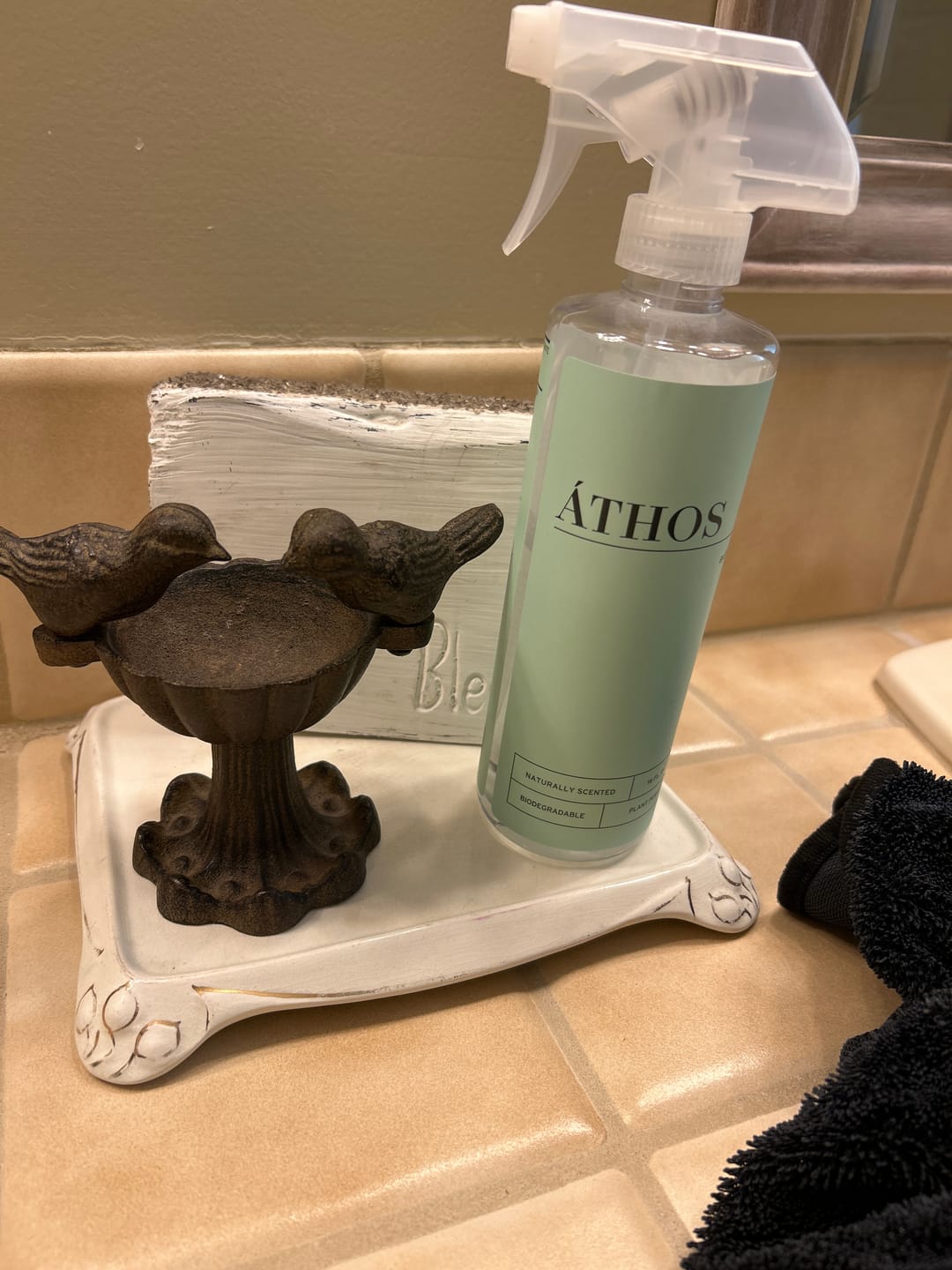 Customer photo review of Bathroom Concentrate 4x