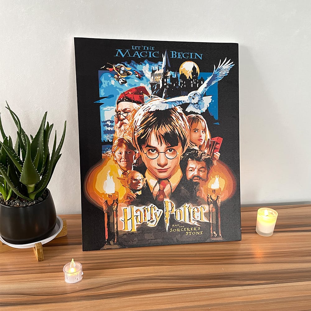 Customer photo review of Harry Potter à l'École des Sorciers Affiche