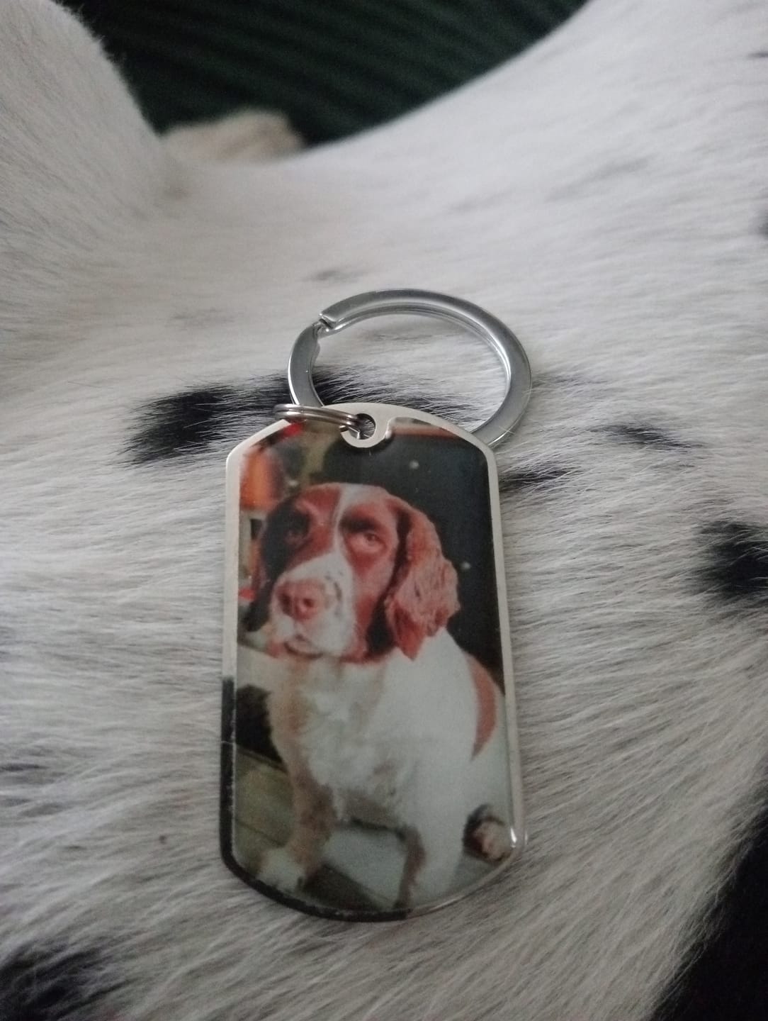 Customer photo review of Personalized Pet Keychain