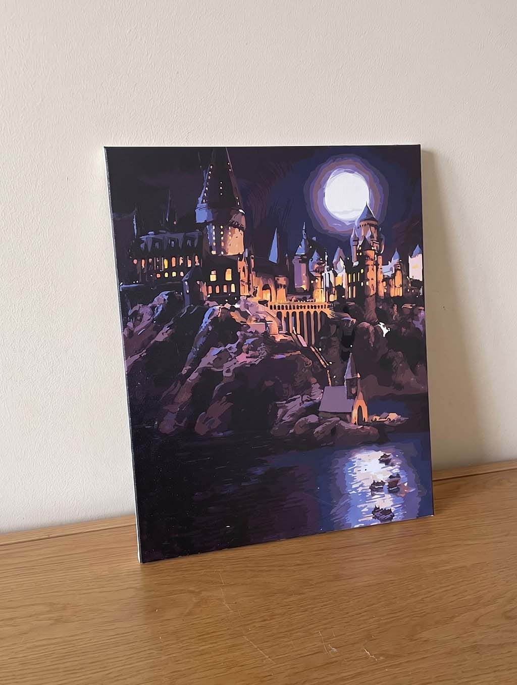 Customer photo review of Harry Potter - Château de Poudlard la Nuit