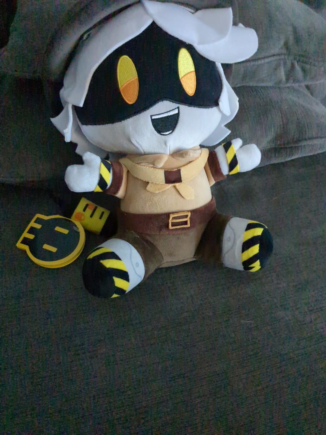 Customer photo review of N Camping Plush