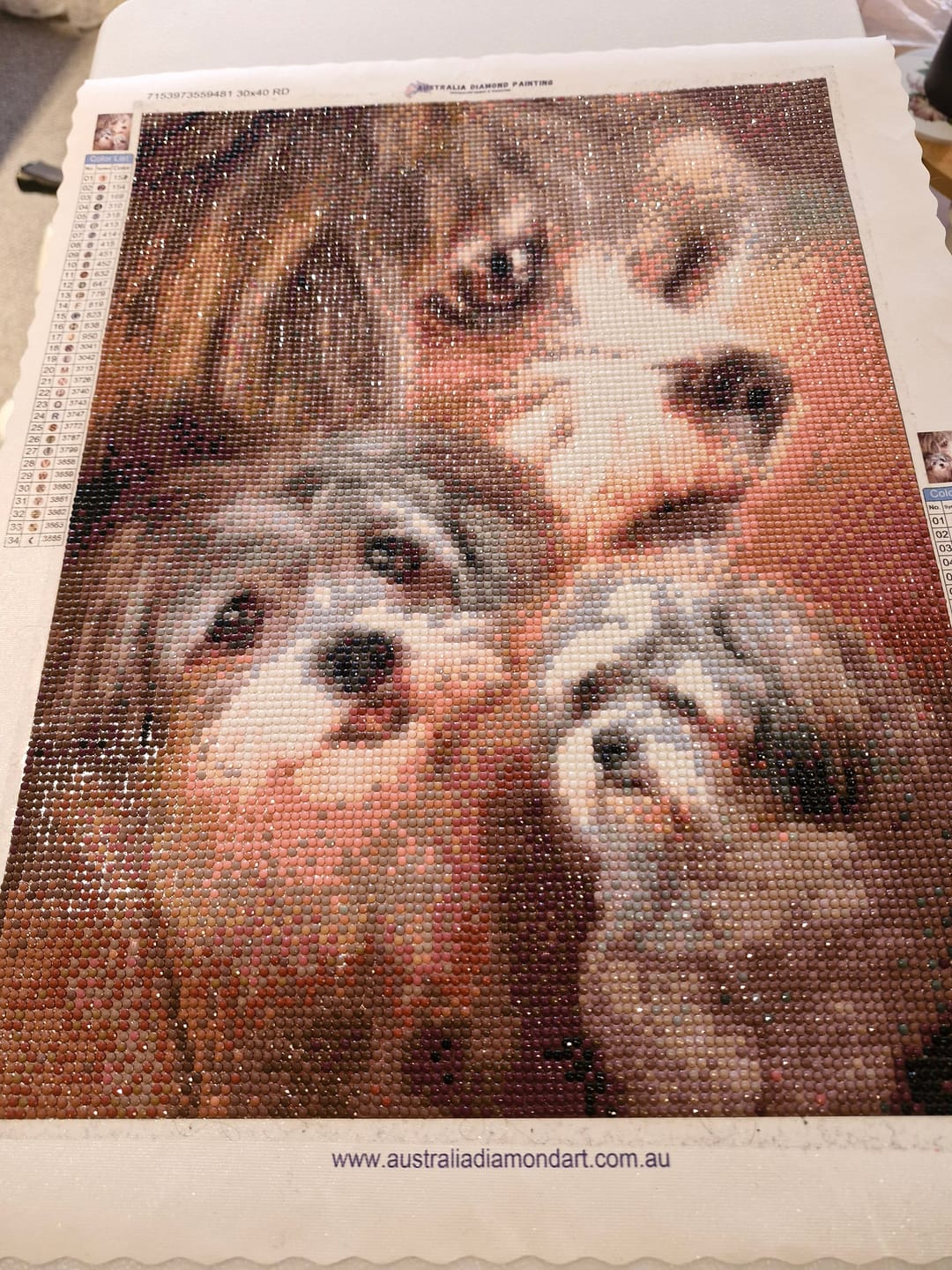 Customer photo review of Full Drill - 5D Diamond Painting Kits Cute Dogs